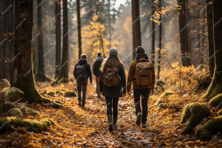 Marche d'automne 2024