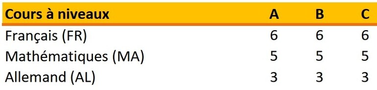 Cours à niveau