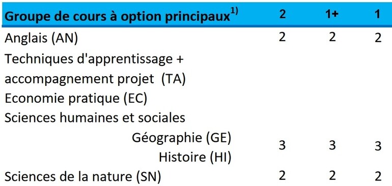 Cours à option principaux