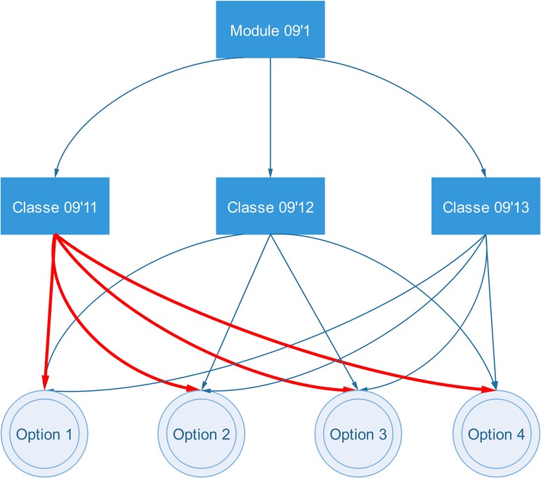 Options