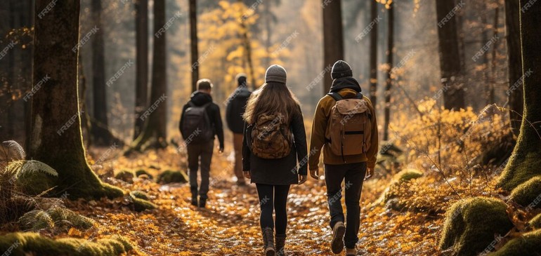 Marche d'automne 2024